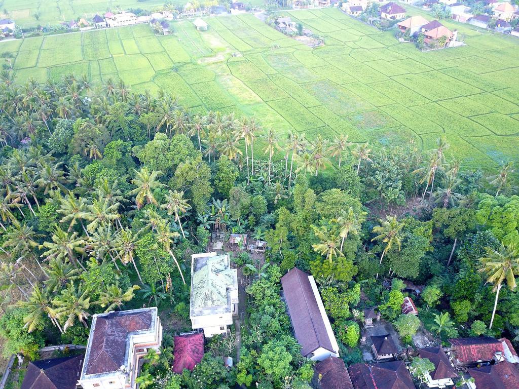 Pangkung Sari Hotell Ubud Exteriör bild